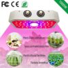 چراغ رشد گل و گیاه خانگی برند KAIGE - Image 6