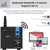 آمپلی فایر و تقویت کننده هدفون برند S.M.S.L مدل SA300 - Image 4